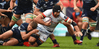 SaleSharks rugby sale sharks salesharks gallagherprem GIF