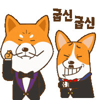 Corgi Shiba Sticker