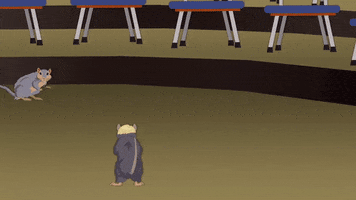 hamster fighting GIF by South Park 