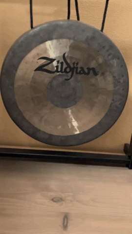 dskaletsky giphygifmaker gong GIF