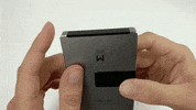 GIF by MANI WONDERS