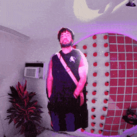 haunting miami beach GIF by THE HAUNT