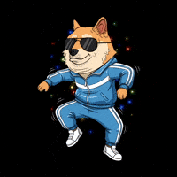 Shiba Inu Dancing GIF by Doge Pound