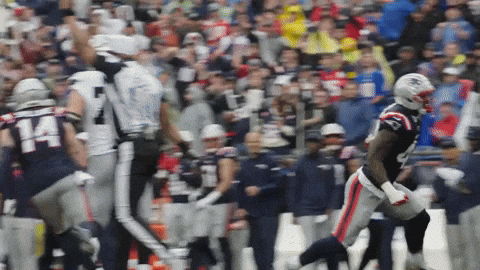 Nfl Football Celebration GIF by New England Patriots