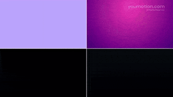Colorful Dynamic Typography | Video |You Motion