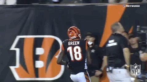 2018 Nfl Football GIF by NFL