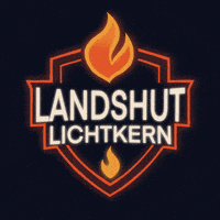 Del Landshut GIF by HIGHspeeΔ