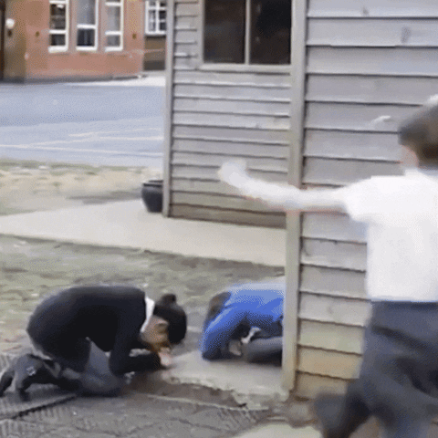 BigBinns giphyupload GIF