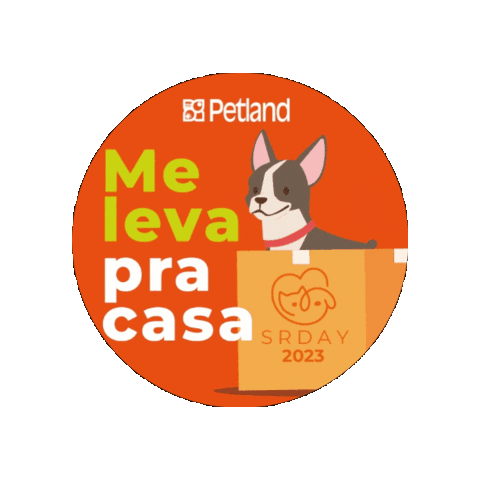 petland_brasil giphygifmaker petland petlandbrasil srday Sticker