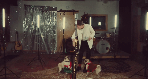 Dog Christmas GIF by Johnny Orlando