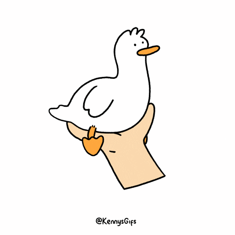 duck