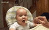 Video gif. Baby's face contorts the very moment baby food enters his mouth. He grimaces in utter disgust, almost as if he's betrayed by being fed with something like that.