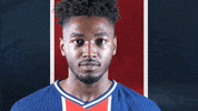 France What GIF by Paris Saint-Germain Handball