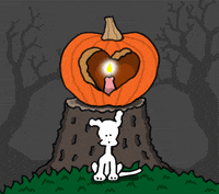 Jack-O-Lantern Love GIF by Chippy the Dog