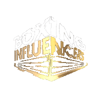 Melvin Manhoef Fight Sticker by Boxing Influencers