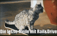 unsereoebb cat katze oebb weltkatzentag GIF