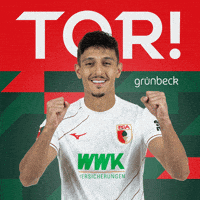 Goal Bundesliga GIF by FC Augsburg 1907