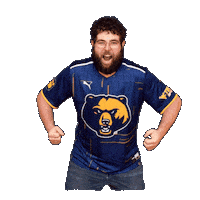 Super Smash Bros Esports Sticker by WVU Tech Golden Bears