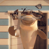 hungry-shark  GIF