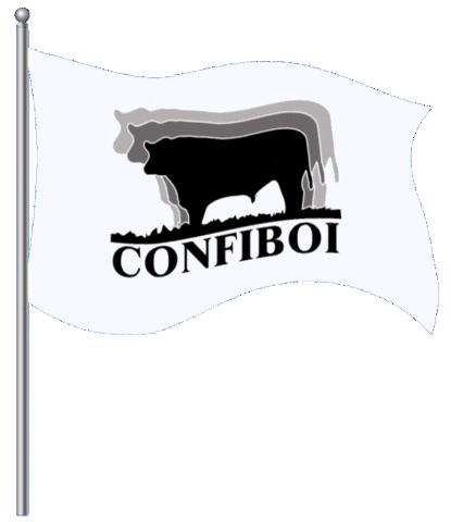 Nelore Sticker by confiboioficial