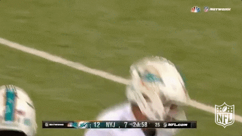 Miami Dolphins Football GIF by NFL