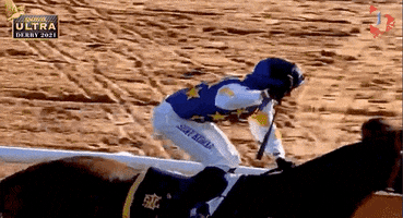 Winning Horse Racing GIF by 1 Play Sports