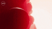 Episode 5 Dalek GIF by Doctor Who