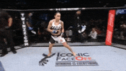 ufc 205 GIF