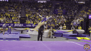College Sports Sport GIF by LSU Tigers