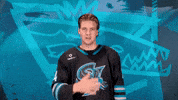 You Cant See Me John Cena GIF by San Jose Barracuda