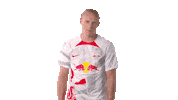 Xaver Schlager Ok Sticker by RB Leipzig