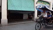 china video GIF