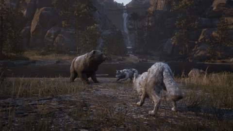 red dead redemption 2 bear GIF by Rockstar Games
