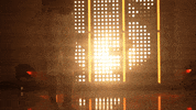 Florida State Softball GIF by NCAA Championships