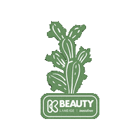Summer Beauty Sticker by Laneige US