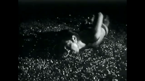GIF by NOWNESS