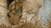 Themepark GIF by Attractiepark Toverland