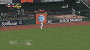 st. louis cardinals baseball GIF