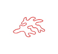 coralstudio ocean sea marine coral Sticker