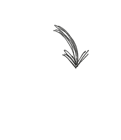 Arrow Pijl Sticker by Van der Plas sprouts