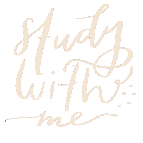 Study Studygram Sticker