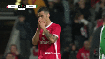 Sl Benfica Slbgifs GIF by Sport Lisboa e Benfica
