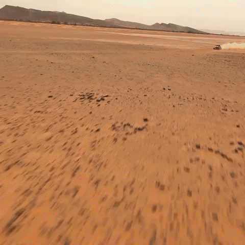 GIF by Red Bull