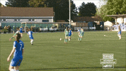 Long Range Goal GIF by Cliftonville Football Club