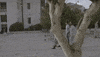 latvia GIF by Eurovision Song Contest
