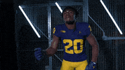 Go Blue Ncaa Football GIF by Michigan Athletics
