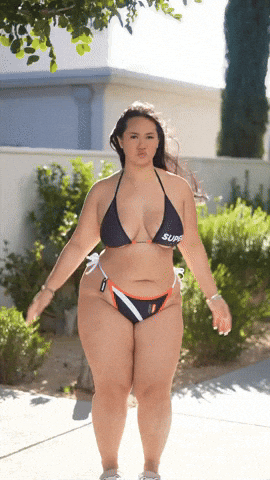 vilecoyote giphyupload GIF