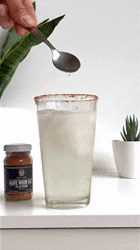 Mezcal Cocktail with Don Catrin Worm Salt 