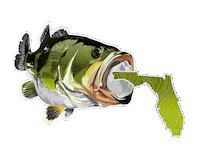Big Bass Florida Sticker by Bucketmouthbrand