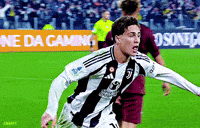 Turkey Juventus GIF